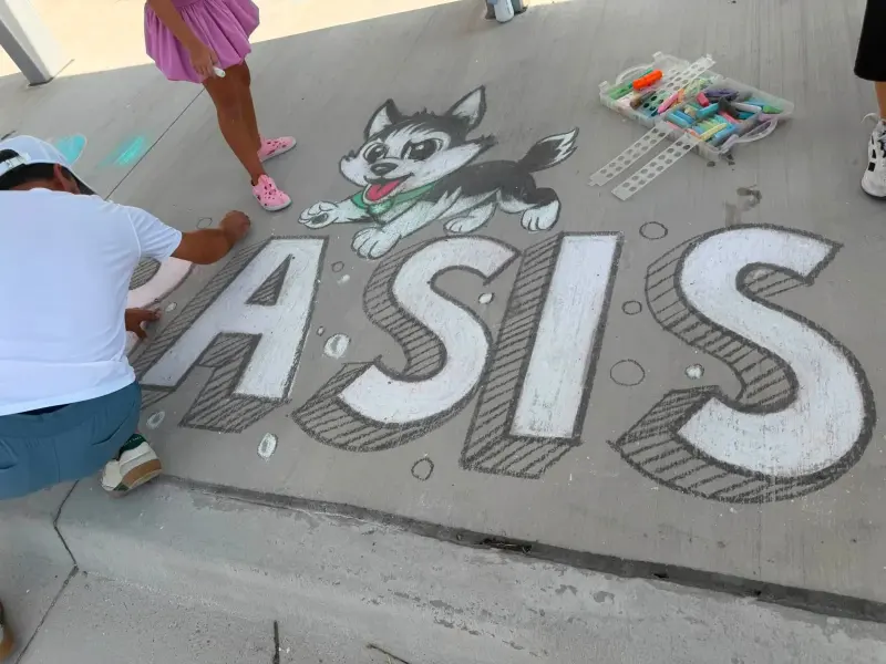 A volunteer filling in giant outlined letters spelling BASIS, a husky bounding over the top and a tray of chalk alongside